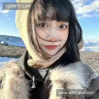 凤鲁庄